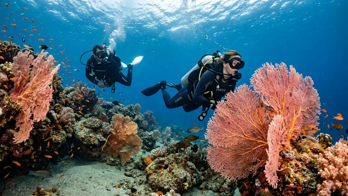 Scuba divers exploring a gorgonian fan reef in the clear waters of La Herradura bay on Granada's Costa Tropical